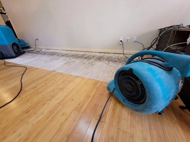 Professional Water Removal technician working in Nashua, NH
